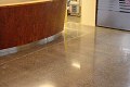 Office Reception Area Polished Concrete Floor